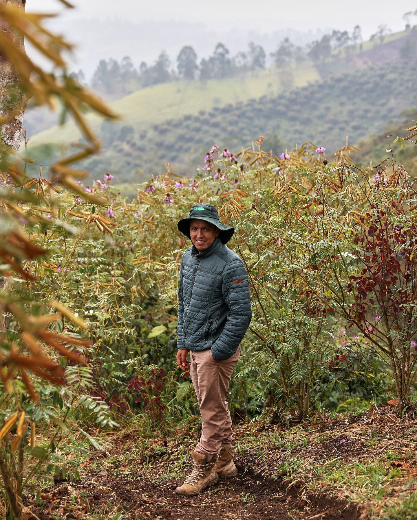 COLOMBIA PINK BOURBON