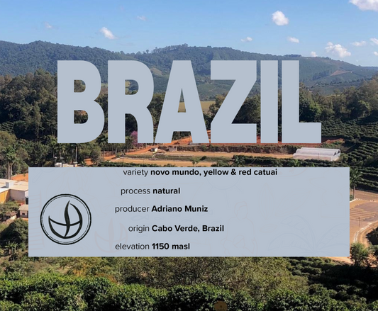 Brazil, Fazenda Las Almas