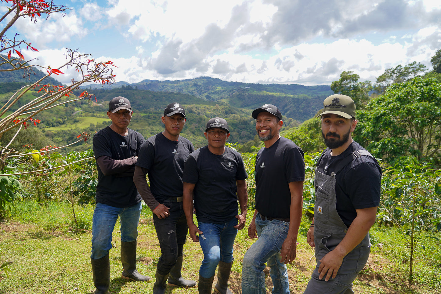 BARÚ BLACK MOUNTAIN NATURAL CATUAI