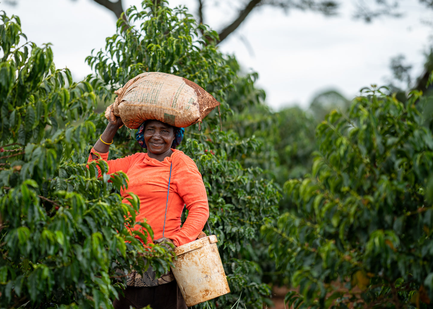 MUINAMI ESTATE, KENYA, BATIAN NATURAL