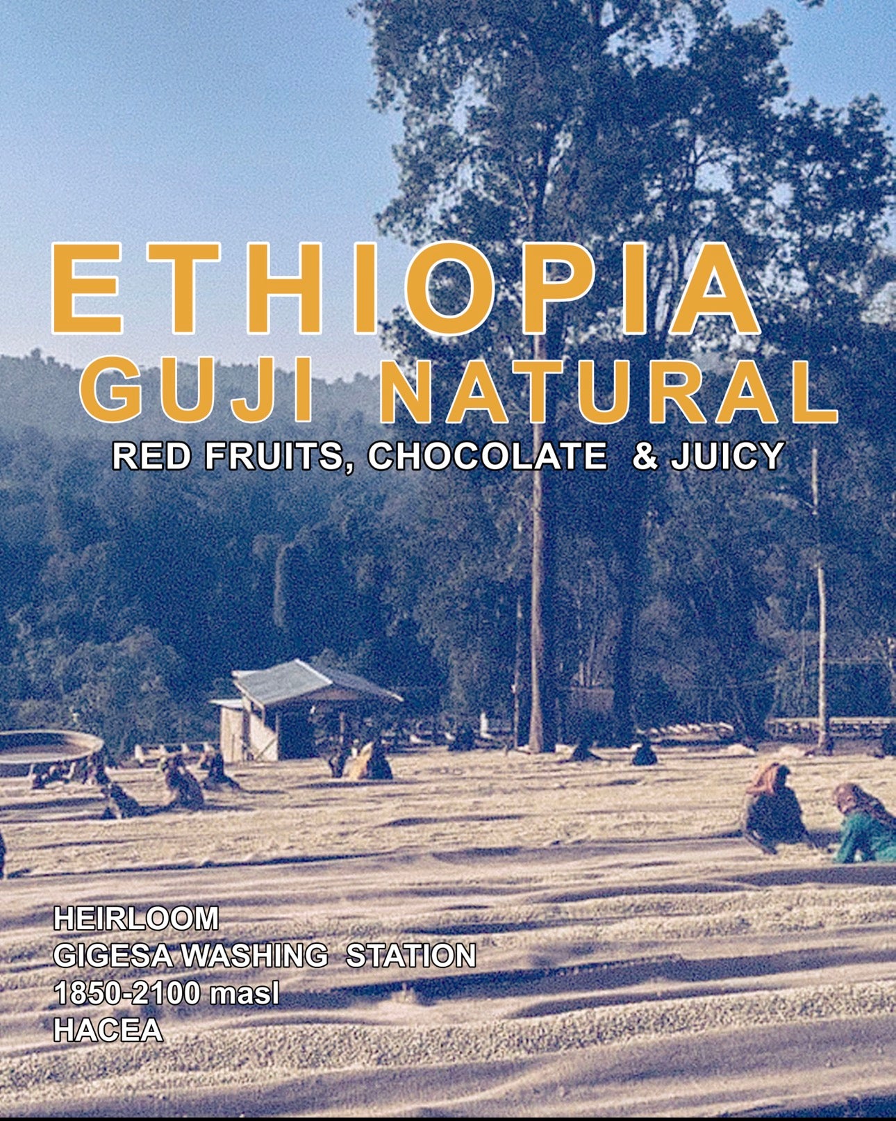 ETHIOPIA GUJI NATURAL