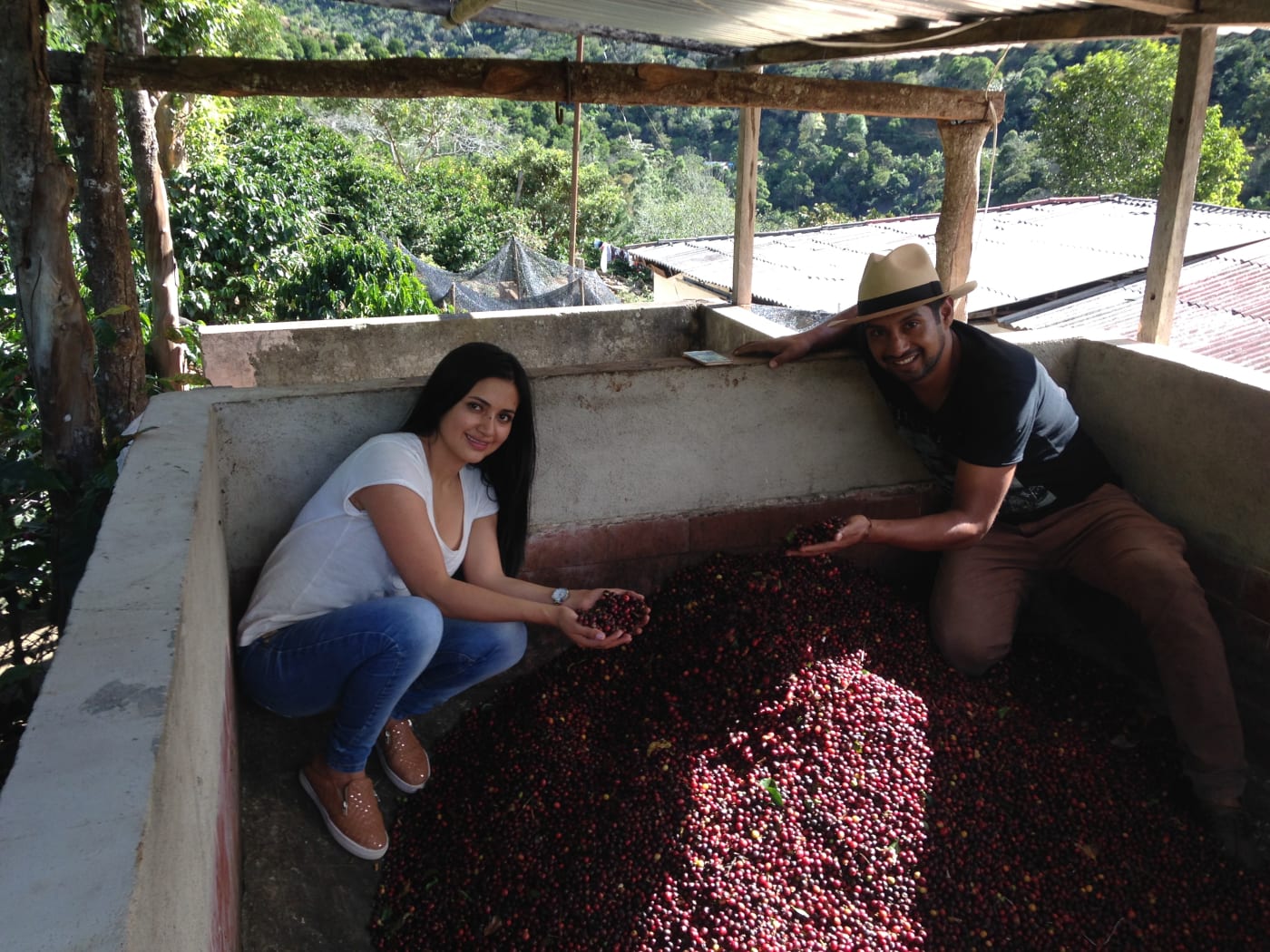 FINCA LOS ANGELES GESHA WASHED