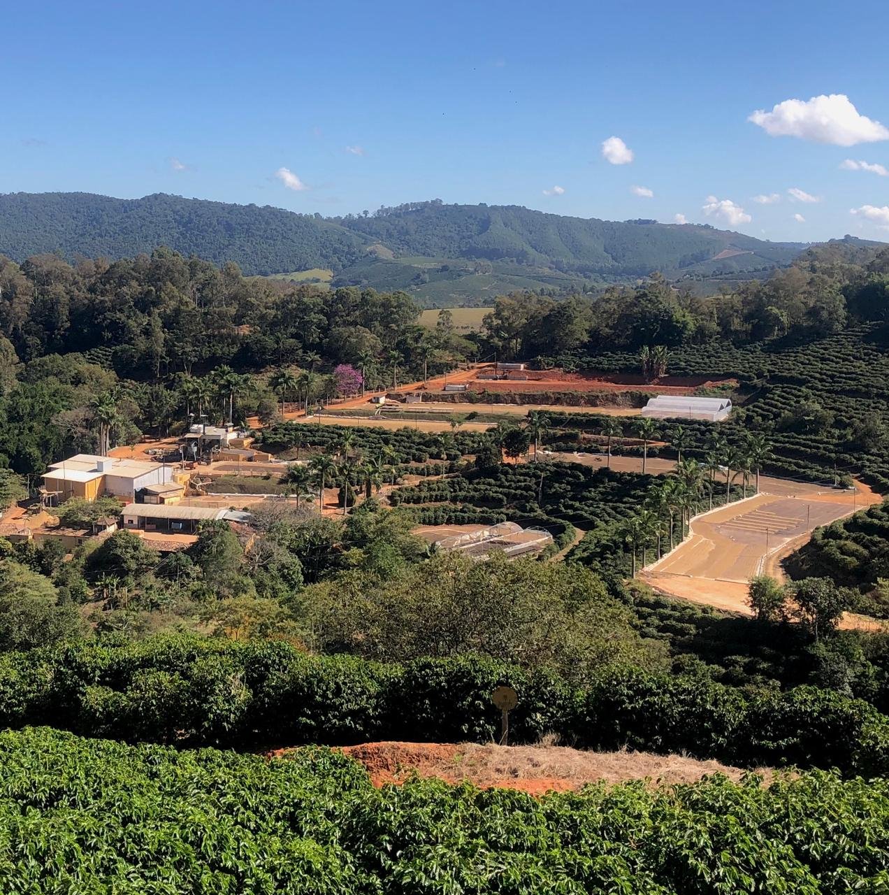Brazil, Fazenda Las Almas