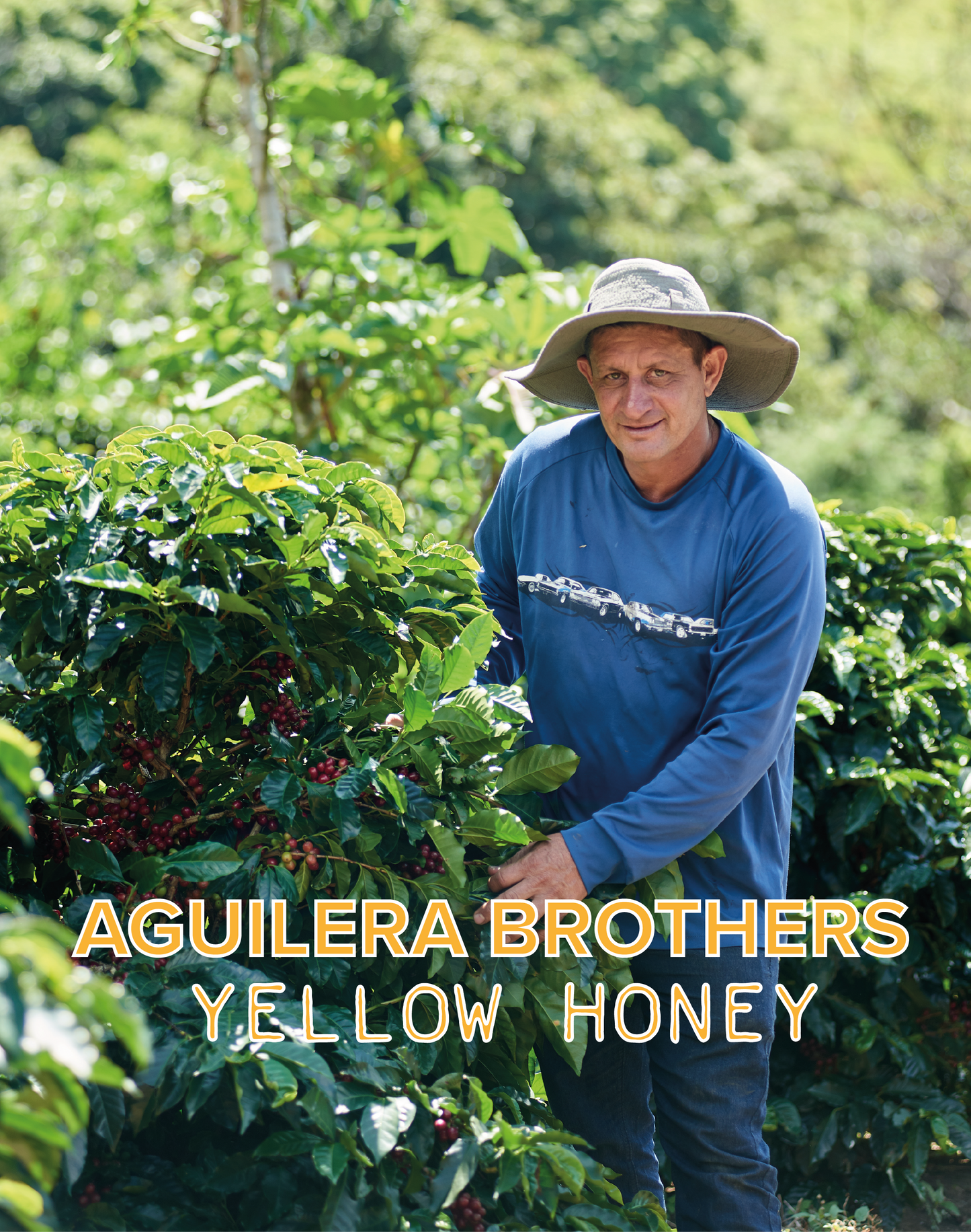 AGUILERA BROTHERS SAN ROQUE YELLOW HONEY