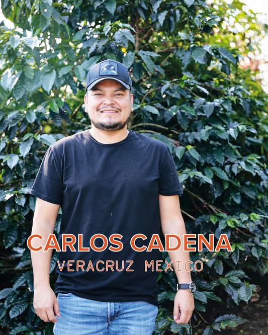 CARLOS CADENA GESHA NATURAL