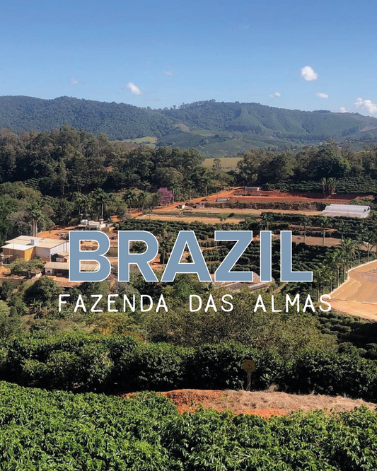 Brazil, Fazenda Das Almas