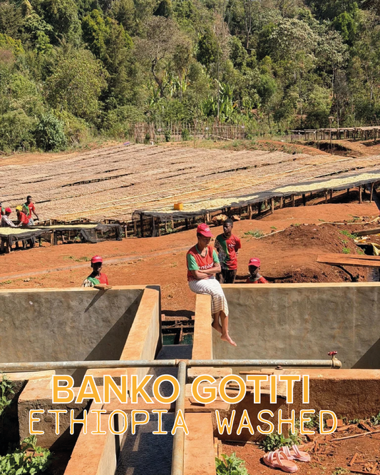 BANKO GOTITI ETHIOPIA WASHED