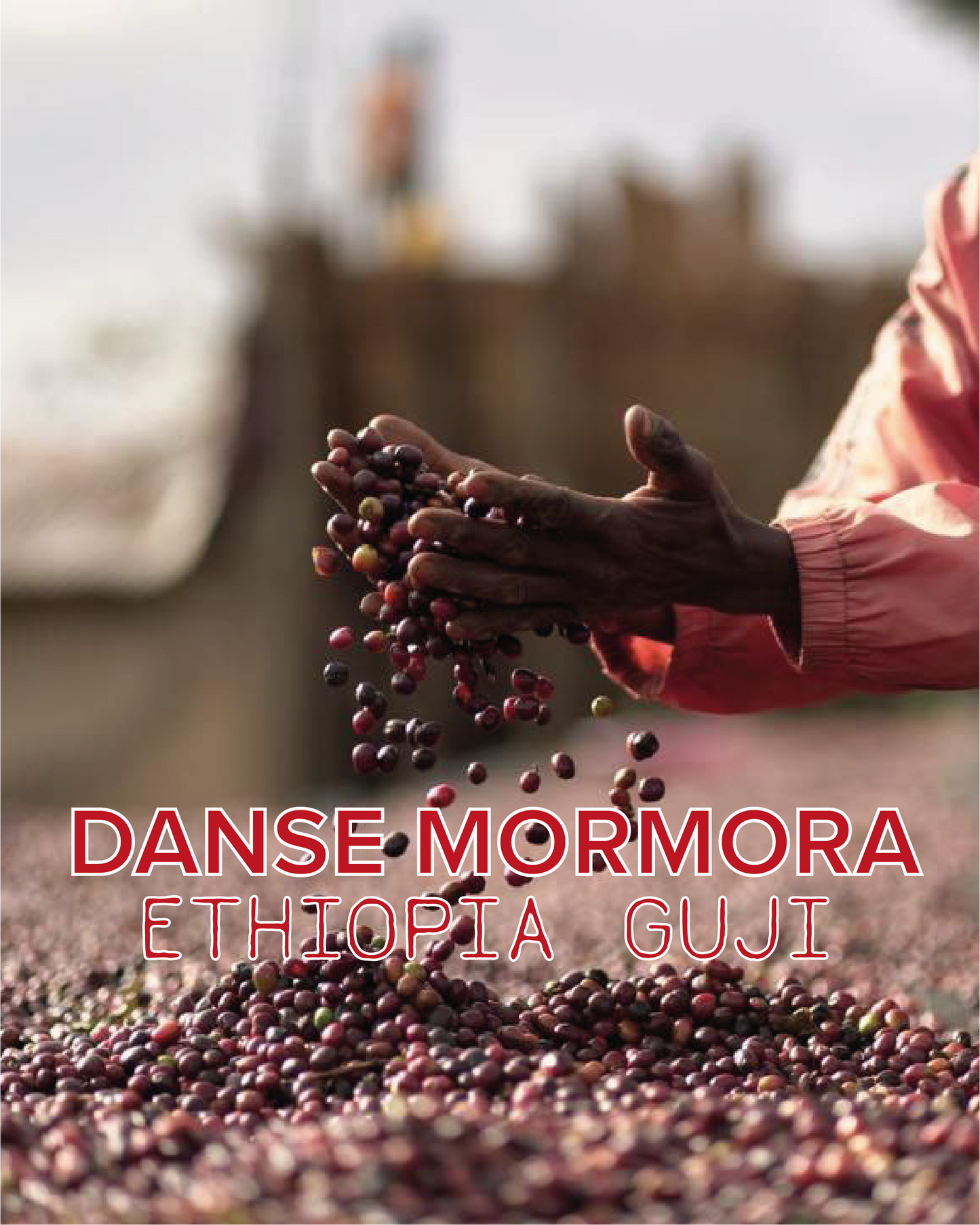DANSE MORMORA ETHIOPIA NATURAL