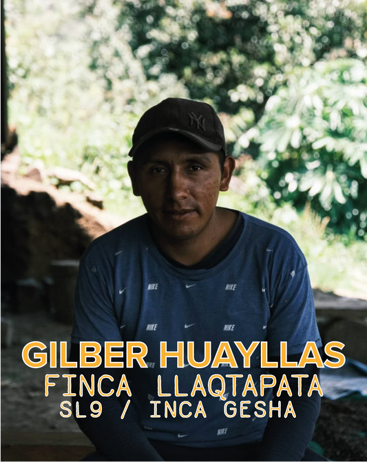 GILBER HUAYLLA SL9 / INCA GESHA