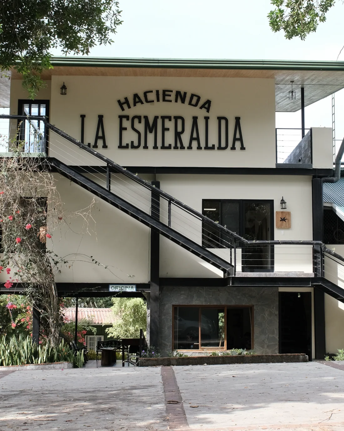 PIERRE LOT:  HACIENDA LA ESMERALDA LINO 3ANB