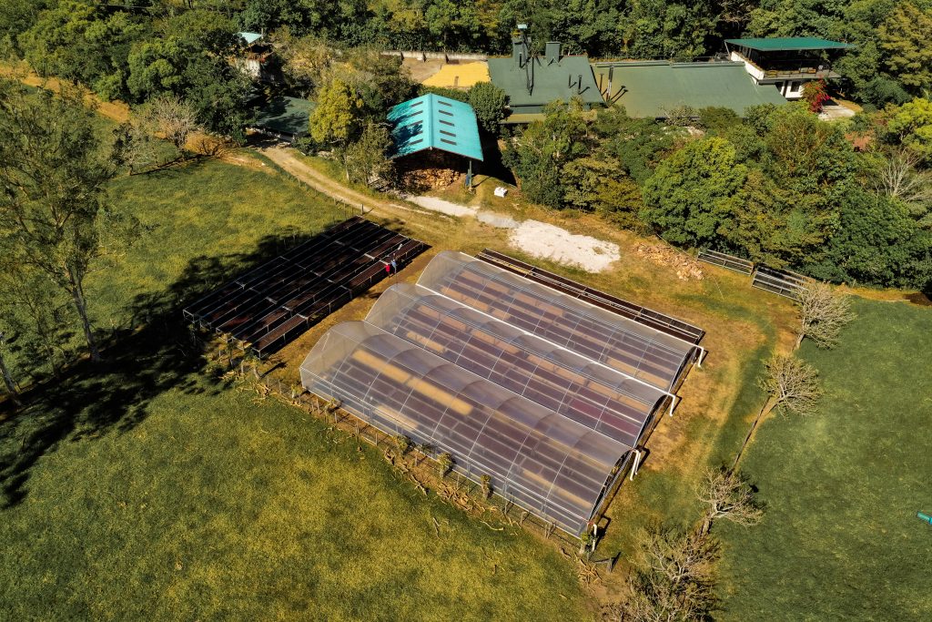 PIERRE LOT:  HACIENDA LA ESMERALDA LINO 3ANB