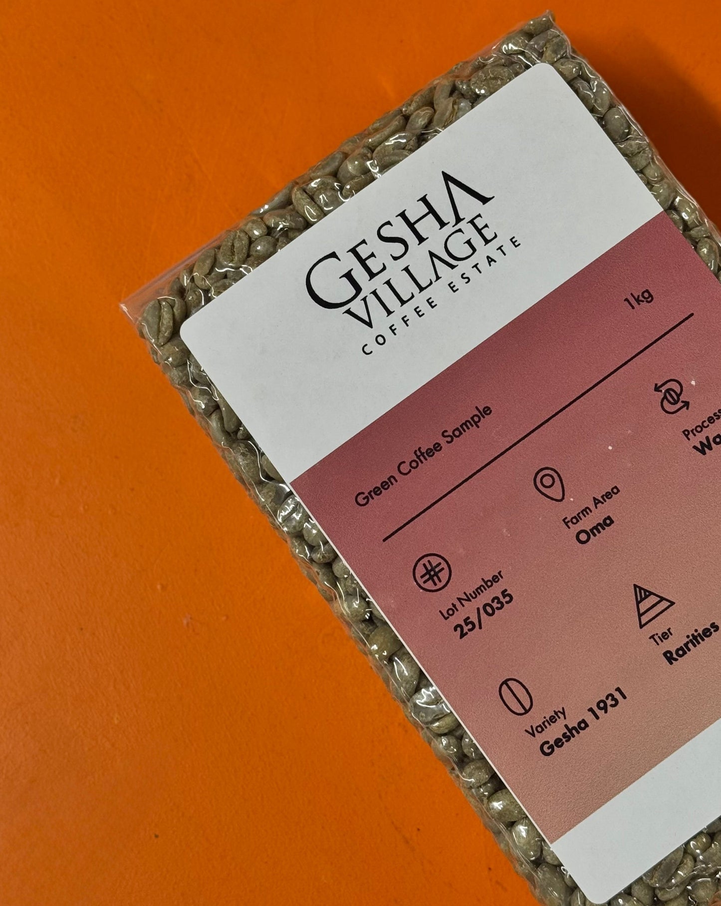 BOCAINA SERIES: Ethiopia, Gesha Village Oma lot 25