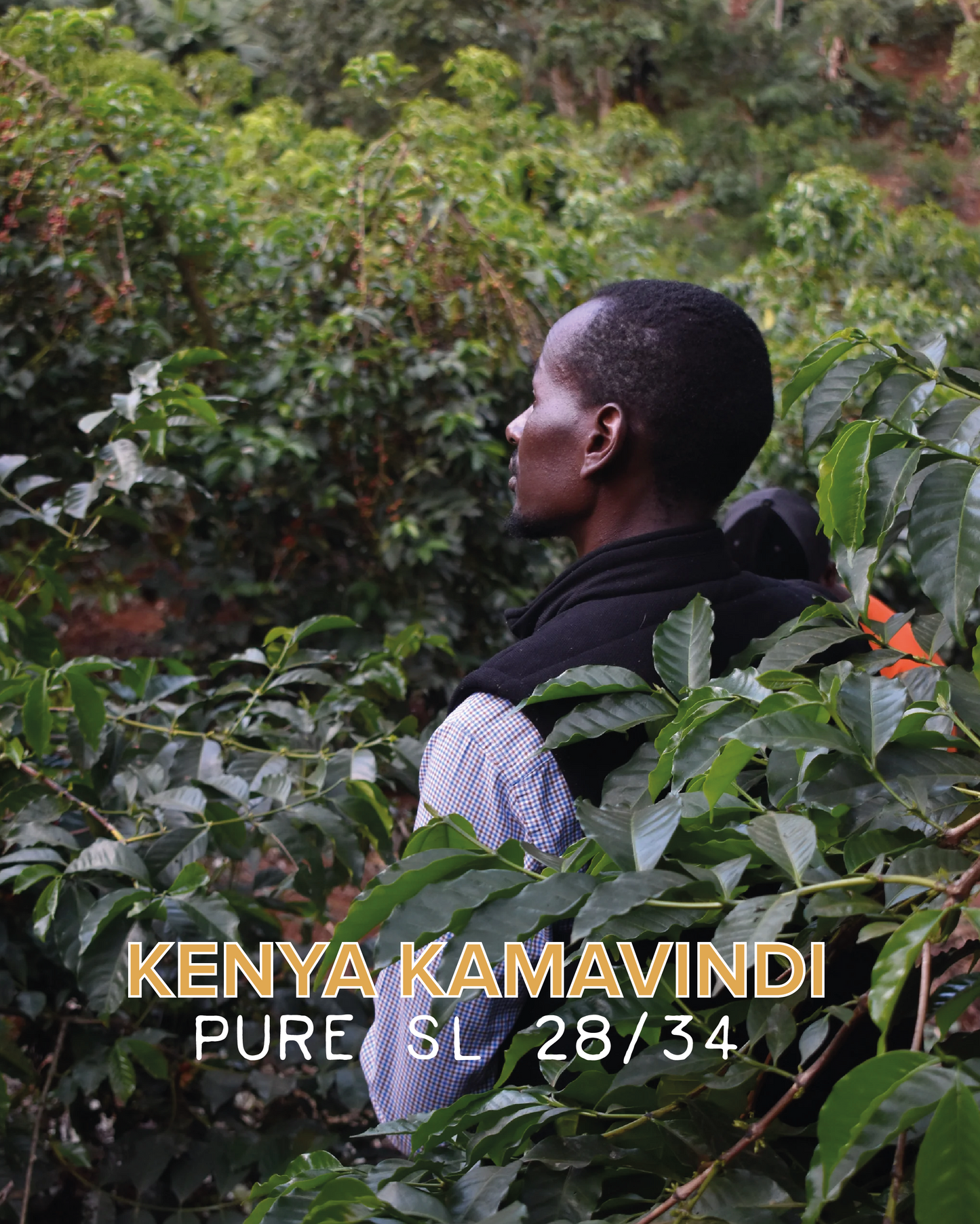 KAMAVINDI AA PURE SL 28/34