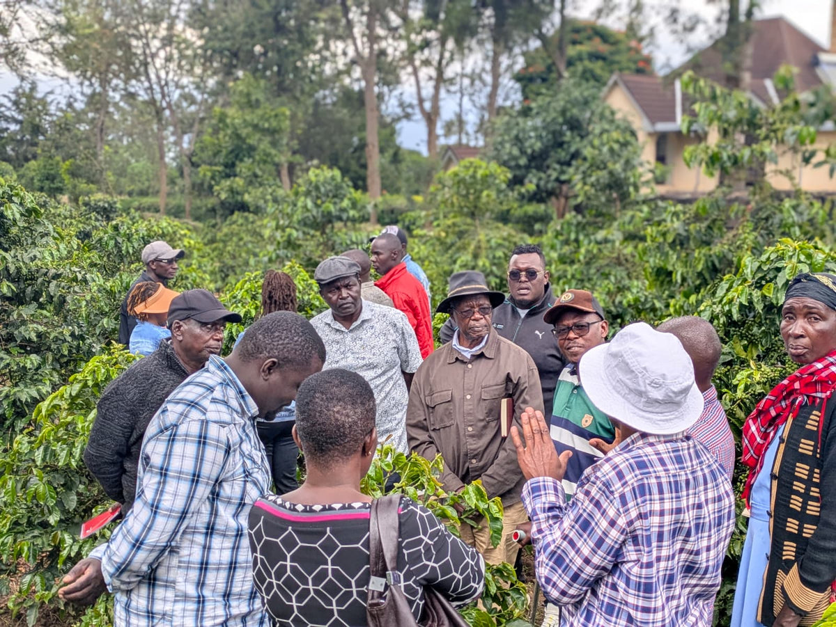 THE RIFT VALLEY COFFEE CAUCUS