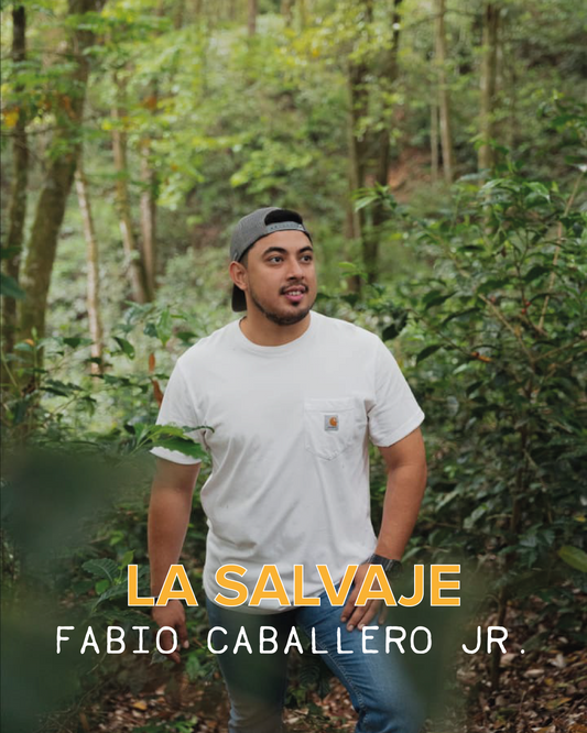 FABIO CABALLERO JR. LA SALVAJE WASHED GESHA