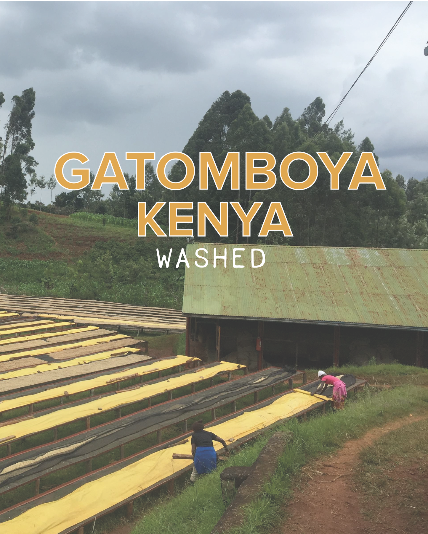 GATOMBOYA KENYA
