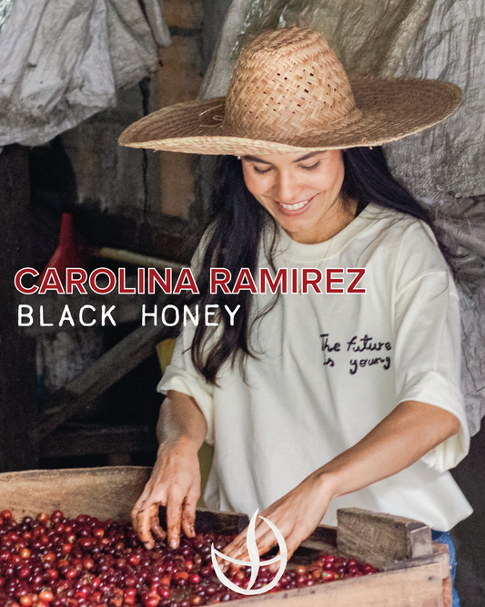 CAROLINA RAMIREZ BLACK HONEY
