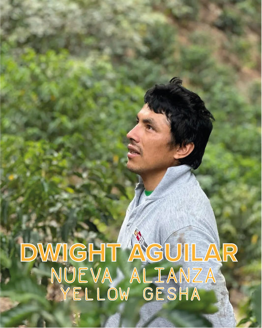 DWIGHT AGUILAR YELLOW GESHA