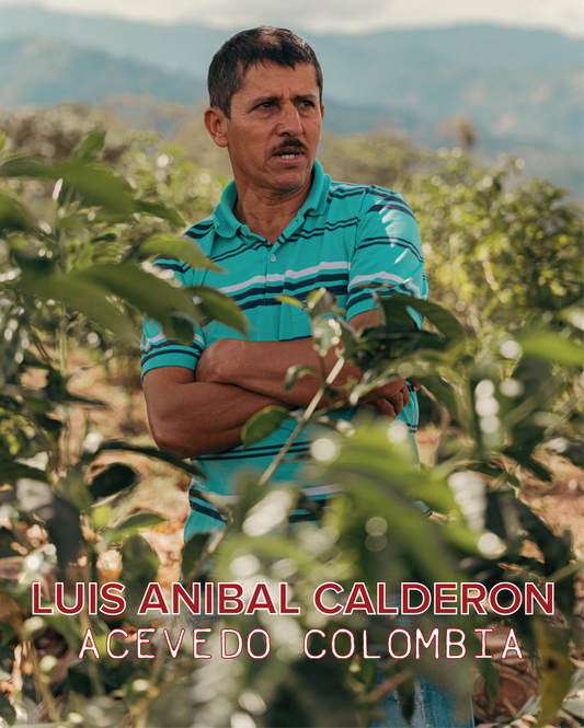 LUIS ANIBAL CALDERON CASTILLO NATURAL