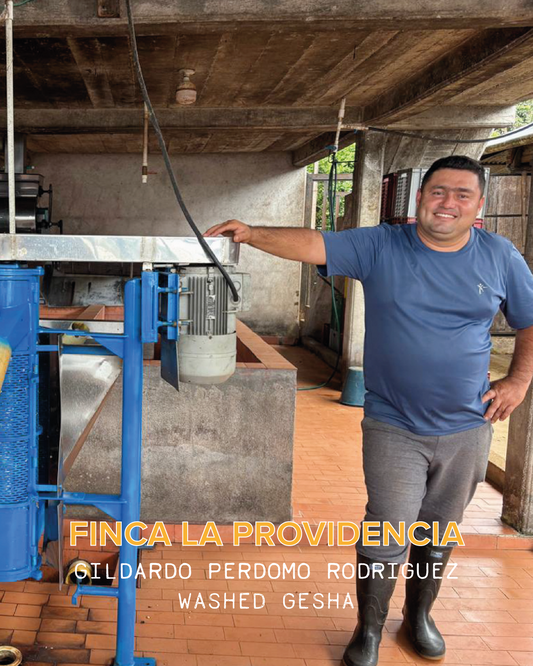 GILDARDO PERDOMO ROGRIGUEZ FINCA LA PROVIDENCIA