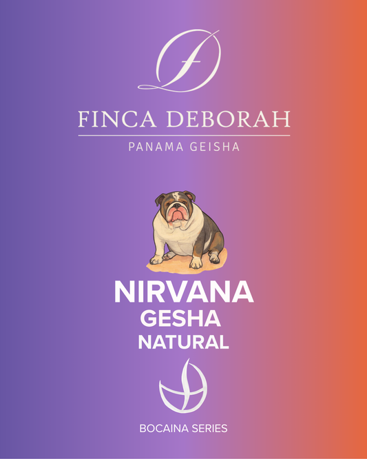 PANAMA GESHA, NIRVANA NATURAL