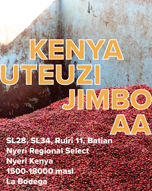 Kenya, Uteuzi Jimbo AA