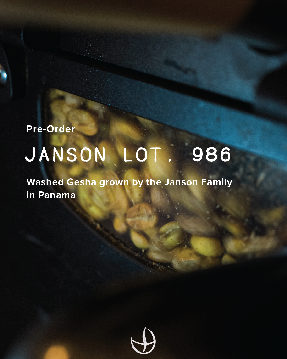 BOCAINA SERIES: Panama, Janson Lot. 986, Washed