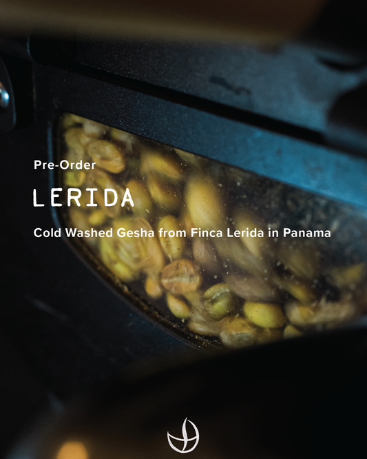 BOCAINA SERIES: Panama, Lerida Cold Washed Gesha