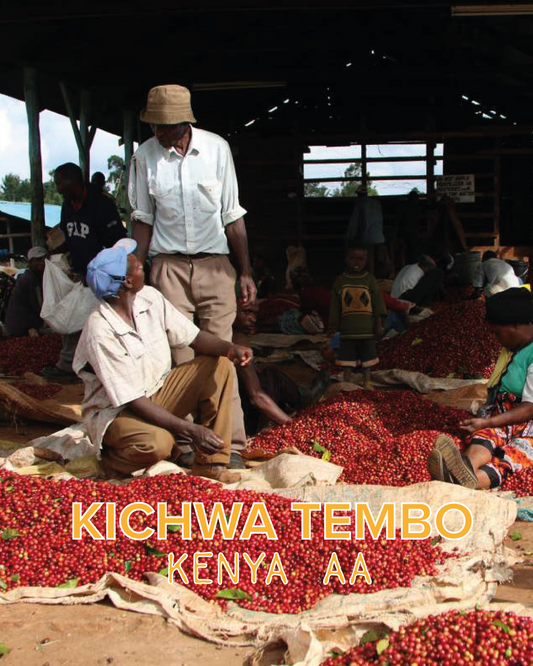 KICHWA TEMBO KENYA AA