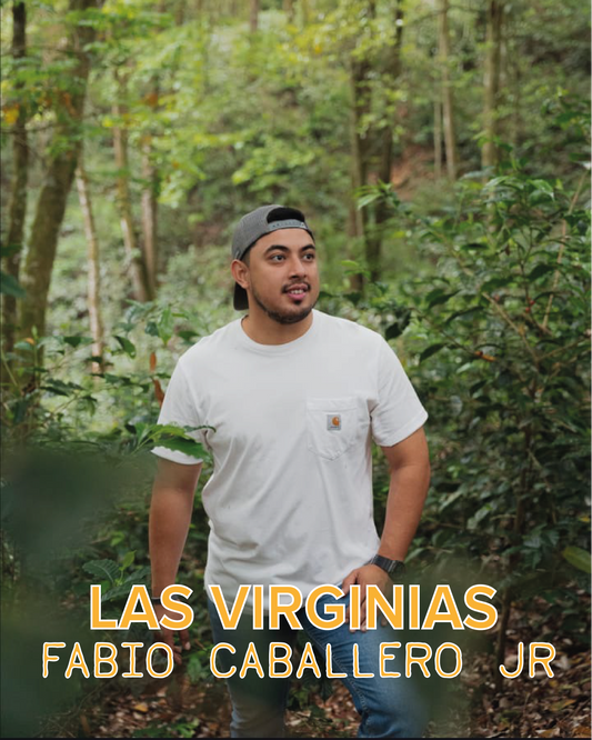 FABIO CABALLERO JR LAS VIRGINIAS WASHED GESHA
